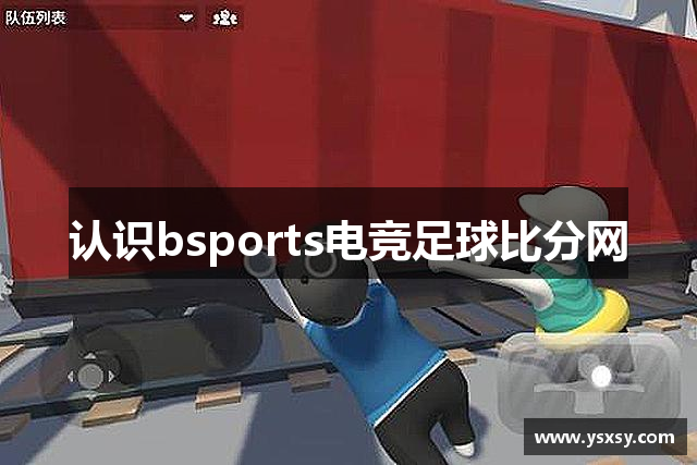 认识bsports电竞足球比分网